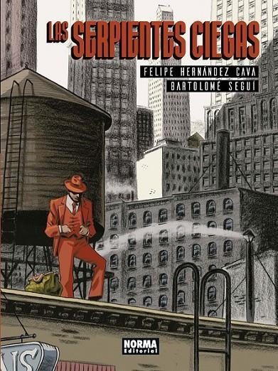 LAS SERPIENTES CIEGAS | 9788467934076 | FELIPE HERNANDEZ CAVA - BARTOLOME SEGUI | Tienda de Cómics, Manga, Magic y Pokémon en Torrejón de Ardoz