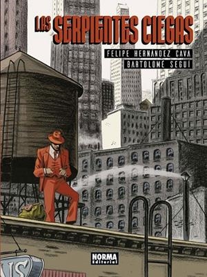 LAS SERPIENTES CIEGAS | 9788467934076 | FELIPE HERNANDEZ CAVA - BARTOLOME SEGUI | Tienda de Cómics, Manga, Magic y Pokémon en Torrejón de Ardoz