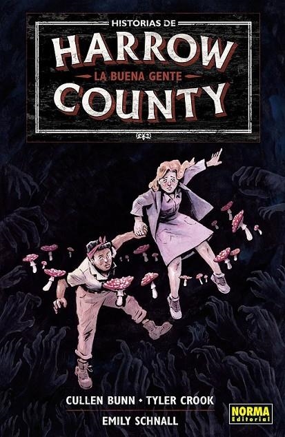 HISTORIAS DE HARROW COUNTY 02. LA BUENA GENTE | 9788467955293 | CULLEN BUNN - TYLER COOK - NAOMI FRANQUIZ | Tienda de Cómics, Manga, Magic y Pokémon en Torrejón de Ardoz
