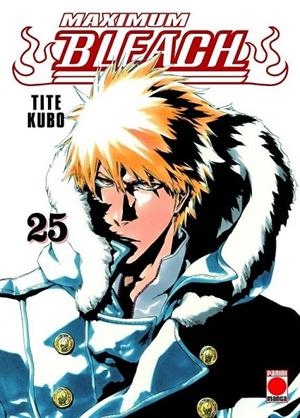 BLEACH MAXIMUM 25 | 9788411019934 | TITE KUBO | Tienda de Cómics, Manga, Magic y Pokémon en Torrejón de Ardoz