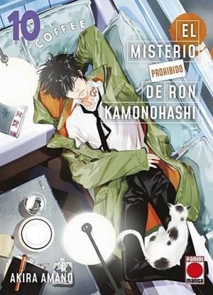 EL MISTERIO PROHIBIDO DE RON KAMONOHASHI 10 | 9788411507721 | AKIRA AMANO | Tienda de Cómics, Manga, Magic y Pokémon en Torrejón de Ardoz