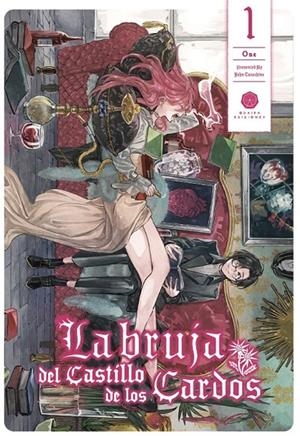 LA BRUJA DEL CASTILLO DE LOS CARDOS 01 | 9788419625113 | JOHN TARACHINE | Tienda de Cómics, Manga, Magic y Pokémon en Torrejón de Ardoz