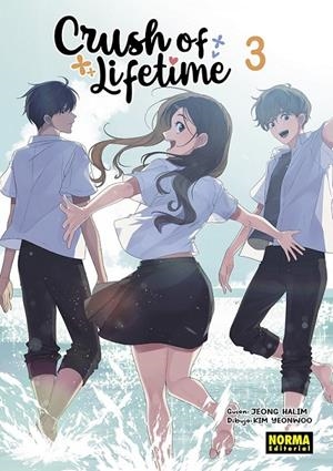 CRUSH OF LIFETIME 03 | 9788467958188 | JEONG HALIM - KIM YEONWOO | Tienda de Cómics, Manga, Magic y Pokémon en Torrejón de Ardoz