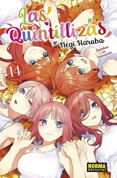 LAS QUINTILLIZAS 14 | 9788467949421 | NEGI HARUBA | Tienda de Cómics, Manga, Magic y Pokémon en Torrejón de Ardoz