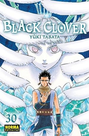 BLACK CLOVER 30 | 9788467959086 | YÛKI TABATA | Tienda de Cómics, Manga, Magic y Pokémon en Torrejón de Ardoz