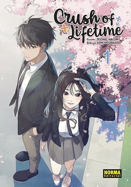 CRUSH OF LIFETIME 01 | 9788467958164 | JEONG HALIM - KIM YEONWOO | Tienda de Cómics, Manga, Magic y Pokémon en Torrejón de Ardoz