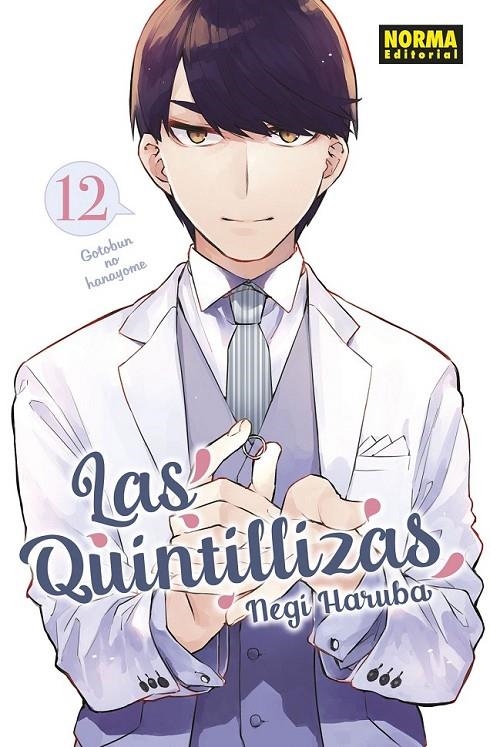 LAS QUINTILLIZAS 12 | 9788467949407 | NEGI HARUBA | Tienda de Cómics, Manga, Magic y Pokémon en Torrejón de Ardoz