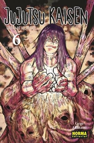 JUJUTSU KAISEN 06 NUEVA EDICIÓN | 9788467961164 | GEGE AKUTAMI | Tienda de Cómics, Manga, Magic y Pokémon en Torrejón de Ardoz