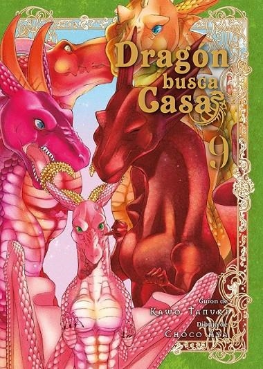DRAGÓN BUSCA CASA 09 | 9788410163805 | KAWO TANUKI - CHOCO AYA | Tienda de Cómics, Manga, Magic y Pokémon en Torrejón de Ardoz