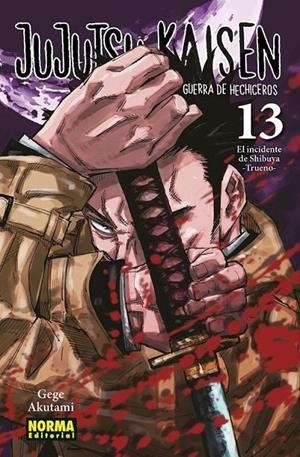JUJUTSU KAISEN 13 NUEVA EDICIÓN | 9788467973785 | GEGE AKUTAMI | Tienda de Cómics, Manga, Magic y Pokémon en Torrejón de Ardoz