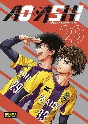 AO ASHI 29 | 9788467973044 | YÛGO KOBAYASHI | Tienda de Cómics, Manga, Magic y Pokémon en Torrejón de Ardoz