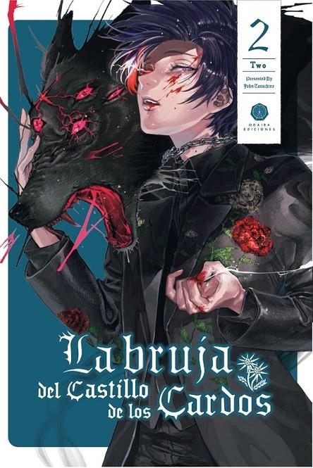 LA BRUJA DEL CASTILLO DE LOS CARDOS 02 | 9788419625120 | JOHN TARACHINE | Tienda de Cómics, Manga, Magic y Pokémon en Torrejón de Ardoz