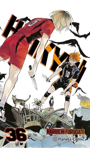 HAIKYÛ!! Nº 36/45 | 9788411619370 | HARUICHI FURUDATE | Tienda de Cómics, Manga, Magic y Pokémon en Torrejón de Ardoz