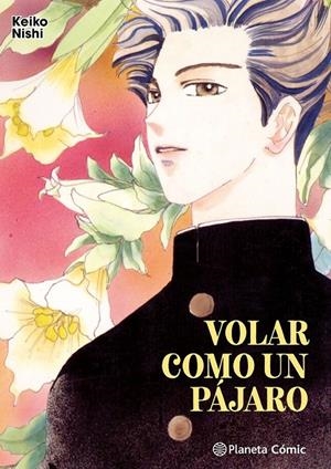 VOLAR COMO UN PÁJARO | 9788411619493 | KEIKO NISHI | Tienda de Cómics, Manga, Magic y Pokémon en Torrejón de Ardoz