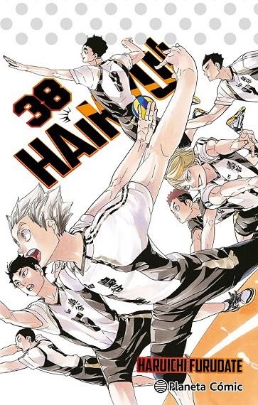 HAIKYÛ!! Nº 38/45 | 9791387780210 | HARUICHI FURUDATE | Tienda de Cómics, Manga, Magic y Pokémon en Torrejón de Ardoz