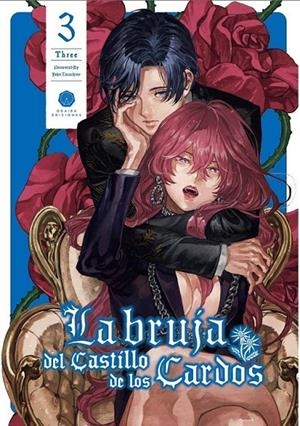 LA BRUJA DEL CASTILLO DE LOS CARDOS 03 | 9788419625137 | JOHN TARACHINE | Tienda de Cómics, Manga, Magic y Pokémon en Torrejón de Ardoz