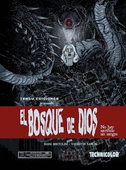 EL BOSQUE DE DIOS | 9788419949479 | MARK BARTOLINI - VALENTÍN RAMÓN | Tienda de Cómics, Manga, Magic y Pokémon en Torrejón de Ardoz