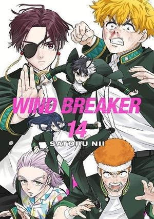 WIND BREAKER 14 (PORTADA PROVISIONAL) | 9788410305328 | SATORU NII | Tienda de Cómics, Manga, Magic y Pokémon en Torrejón de Ardoz