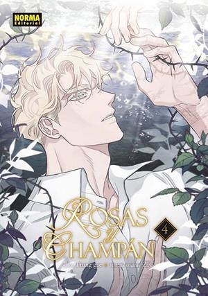 ROSAS Y CHAMPÁN # 04 | 9788467981889 | ZIG - TTUNG GAE | Tienda de Cómics, Manga, Magic y Pokémon en Torrejón de Ardoz
