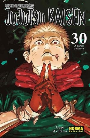 JUJUTSU KAISEN 30 | 9788467975833 | GEGE AKUTAMI | Tienda de Cómics, Manga, Magic y Pokémon en Torrejón de Ardoz