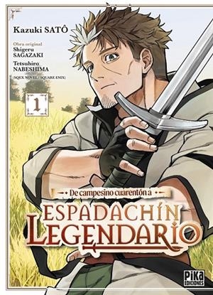 DE CAMPESINO CUARENTON A ESPADACHIN LEGENDARIO | 9791043306822 | KAZUKI SATÔ - TETSUHIRO NABESHIMA | Tienda de Cómics, Manga, Magic y Pokémon en Torrejón de Ardoz