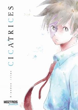 CICATRICES | 9791387953522 | BRANDON ARIAS | Tienda de Cómics, Manga, Magic y Pokémon en Torrejón de Ardoz