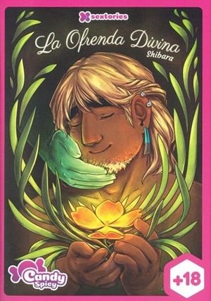 LA OFRENDA DIVINA | 9791399091656 | SHIBARA | Tienda de Cómics, Manga, Magic y Pokémon en Torrejón de Ardoz