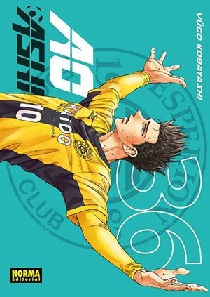 AO ASHI 36 | 9788467979022 | YÛGO KOBAYASHI | Tienda de Cómics, Manga, Magic y Pokémon en Torrejón de Ardoz