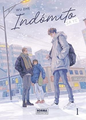 INDÓMITO, SA YE # 01  (DE 4) | 9788467983685 | WU ZHE | Tienda de Cómics, Manga, Magic y Pokémon en Torrejón de Ardoz